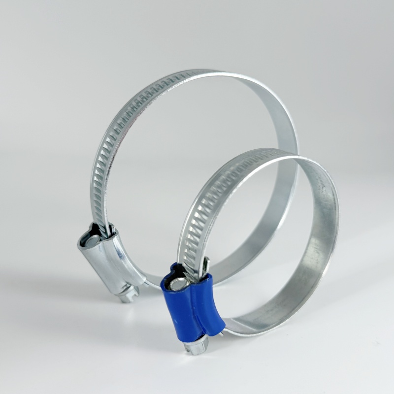 British hose clamp
